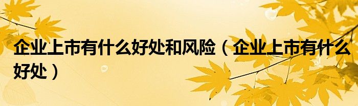 企业上市有什么好处和风险（企业上市有什么好处）