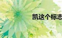 凯这个标志是什么车？