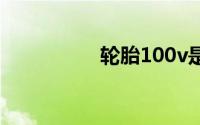 轮胎100v是什么意思？