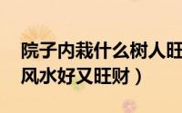 院子内栽什么树人旺（财旺 院子里种什么树风水好又旺财）