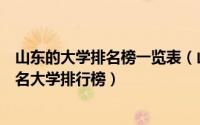 山东的大学排名榜一览表（山东大学排名一览表山东省前十名大学排行榜）
