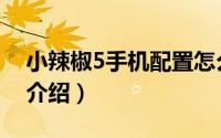 小辣椒5手机配置怎么样（小辣椒5参数详情介绍）