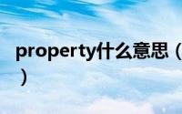 property什么意思（英语property什么意思）