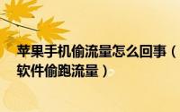 苹果手机偷流量怎么回事（苹果iphone手机怎么阻止某个软件偷跑流量）