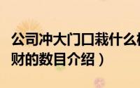 公司冲大门口栽什么树旺财（公司冲大门口旺财的数目介绍）