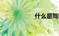 什么是驾驶证def？