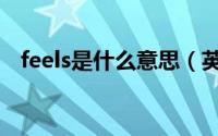 feels是什么意思（英语feels是什么意思）