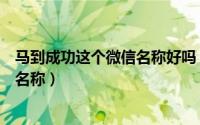 马到成功这个微信名称好吗（类似马到成功一样好听的微信名称）