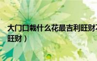 大门口栽什么花最吉利旺财不怕冻（大门口种什么花吉利又旺财）