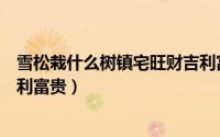 雪松栽什么树镇宅旺财吉利富贵（栽哪些树可以镇宅旺财吉利富贵）