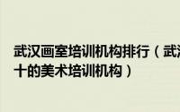 武汉画室培训机构排行（武汉美术培训画室排名武汉排名前十的美术培训机构）