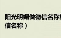 阳光明媚做微信名称好吗（充满阳光气息的微信名称）