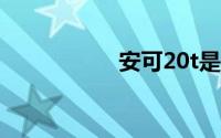 安可20t是什么意思？