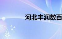 河北丰润数百亩耕地里种树