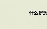 什么是玛莎拉蒂？