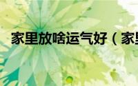 家里放啥运气好（家里放什么东西运气好）