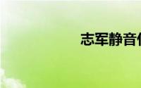 志军静音什么机油？