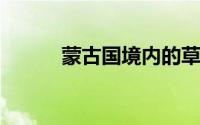 蒙古国境内的草原野火已被扑灭