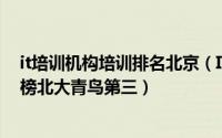it培训机构培训排名北京（IT培训机构排行榜：清华万博上榜北大青鸟第三）