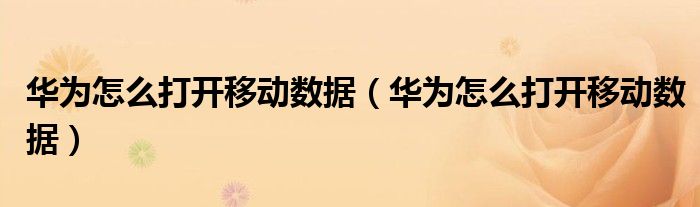 华为怎么打开移动数据（华为怎么打开移动数据）