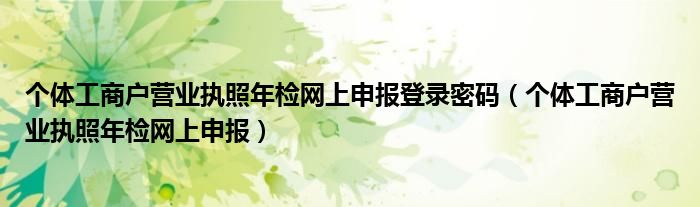 个体工商户营业执照年检网上申报登录密码（个体工商户营业执照年检网上申报）