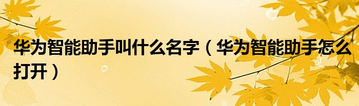 华为智能助手叫什么名字（华为智能助手怎么打开）