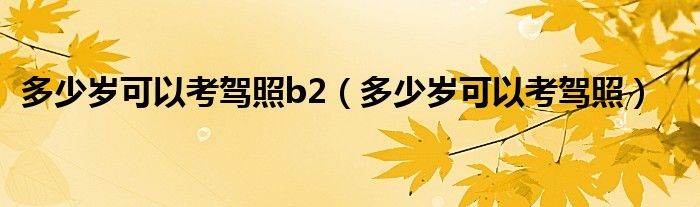 多少岁可以考驾照b2（多少岁可以考驾照）