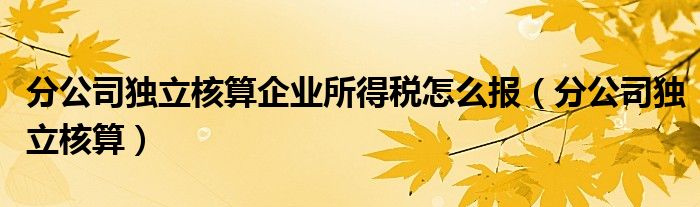 分公司独立核算企业所得税怎么报（分公司独立核算）