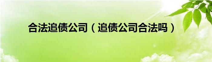 合法追债公司（追债公司合法吗）