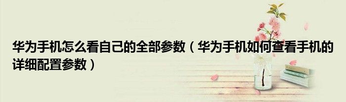 华为手机怎么看自己的全部参数（华为手机如何查看手机的详细配置参数）