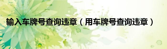 输入车牌号查询违章（用车牌号查询违章）
