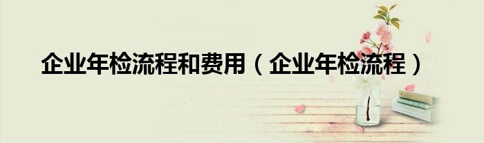 企业年检流程和费用（企业年检流程）