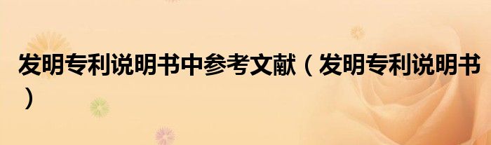 发明专利说明书中参考文献（发明专利说明书）