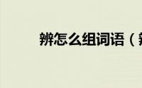 辨怎么组词语（辨的组词及解释）