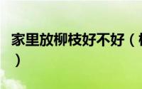 家里放柳枝好不好（柳枝放在家里有什么功效）