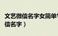 文艺微信名字女简单气质（文艺大气好看的微信名字）