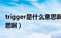 trigger是什么意思啊（英语trigger是什么意思啊）