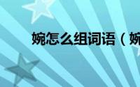 婉怎么组词语（婉字的组词及解释）