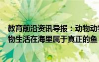 教育前沿资讯导报：动物动物知识科普：鲸鱼与海马哪种动物生活在海里属于真正的鱼