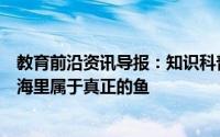 教育前沿资讯导报：知识科普：鲸鱼与海马哪种动物生活在海里属于真正的鱼