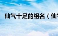 仙气十足的组名（仙气十足的组名有哪些）