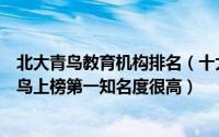 北大青鸟教育机构排名（十大职业教育机构排行榜：北大青鸟上榜第一知名度很高）
