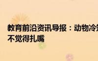 教育前沿资讯导报：动物冷知识讲解：什么动物吃仙人掌都不觉得扎嘴