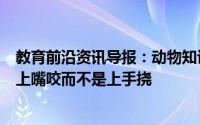 教育前沿资讯导报：动物知识讲解：为什么狗狗打架时经常上嘴咬而不是上手挠