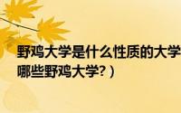 野鸡大学是什么性质的大学（野鸡大学是什么意思?中国有哪些野鸡大学?）