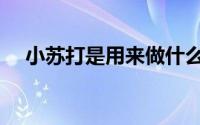小苏打是用来做什么的（小苏打的作用）