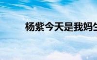 杨紫今天是我妈生日结果我给忘了