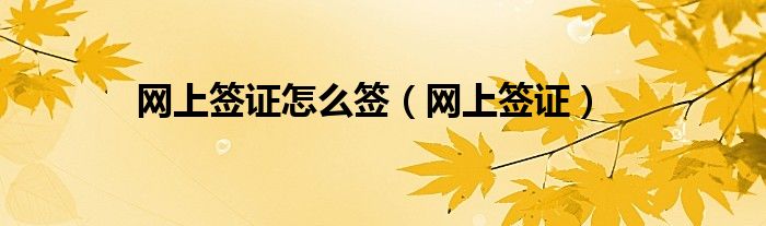 网上签证怎么签（网上签证）