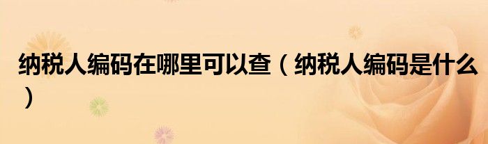 纳税人编码在哪里可以查（纳税人编码是什么）