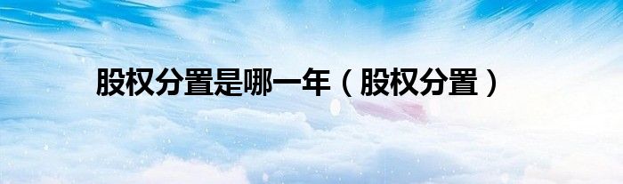股权分置是哪一年（股权分置）